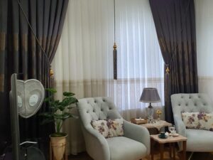 Eyelet and Contemporary Curtains